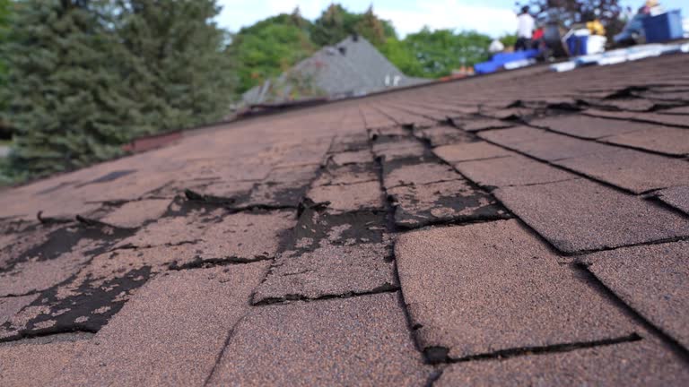 Best Roof Insulation Installation  in Galena, OH